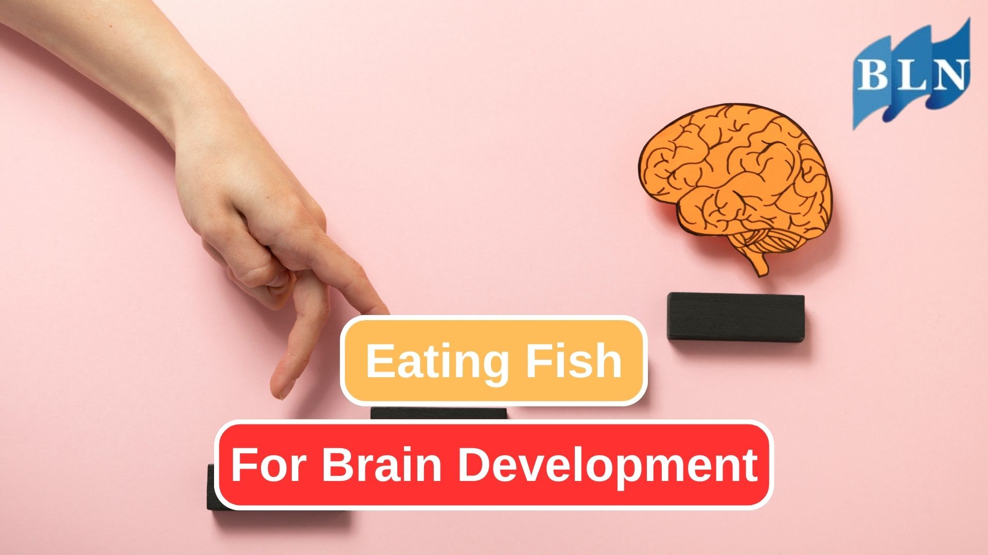 8 Reasons Why Eating Fish Is Good for Brain Development
